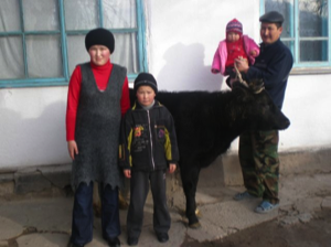 Project Geef een Koe voor een kansarm gezin in Kyrgyzstan.