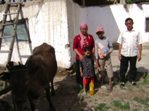 Project Geef een Koe voor een kansarm gezin in Kyrgyzstan.